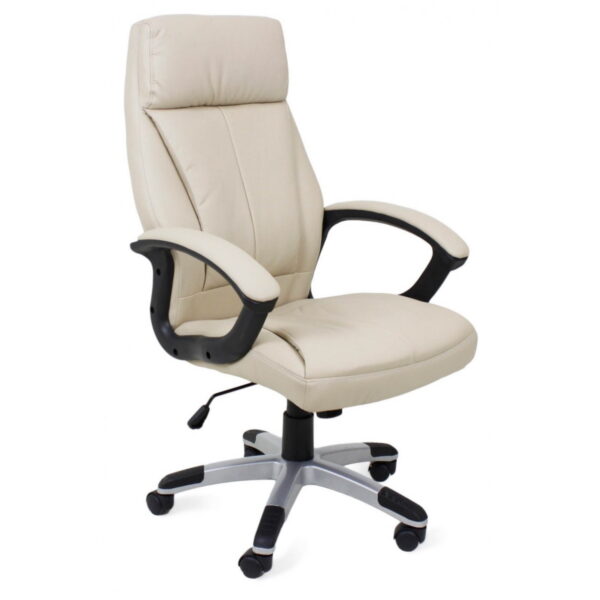 Office Chair Bx-8850 Camel Discover the comfort of the BX-8850 Camel office chair, ideal for maximum productivity. This elegant and functional choice perfectly integrates into any office, adding a touch of style. Choose quality for a pleasant working environment!