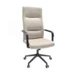 Remo Grey Office Chair Discover comfort and style with the Remo Grey office chair. Ideal for modern offices, this chair combines sleek design with ergonomic support, providing a pleasant working experience. Choose the perfect chair for your space now!
