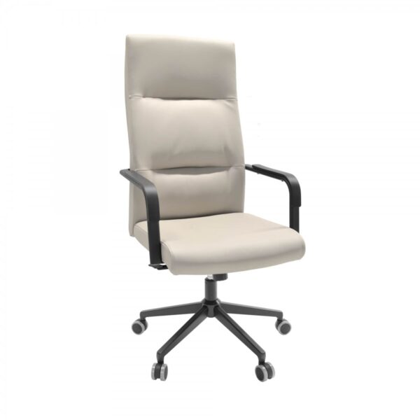 Remo Grey Office Chair Discover comfort and style with the Remo Grey office chair. Ideal for modern offices, this chair combines sleek design with ergonomic support, providing a pleasant working experience. Choose the perfect chair for your space now!