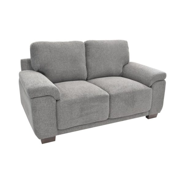 Canapea Astoria-2 Grey Descoperă canapeaua Astoria-2 Grey, ideală pentru birou sau living, cu un design modern pentru 2 persoane. Găsește confortul perfect datorită pernelor detașabile și picioarelor din lemn lăcuit. Alege calitatea și stilul pentru fiecare spațiu!