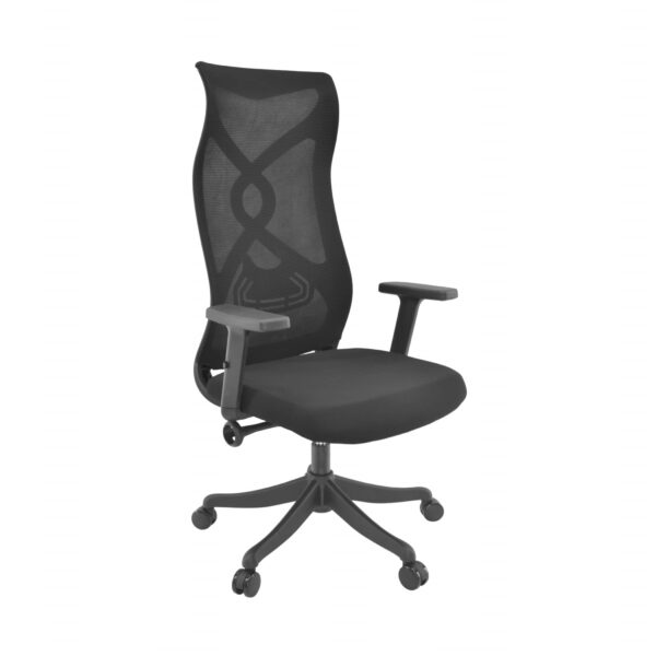 FOREST Black Office Armchair Discover the FOREST Black office chair, a comfortable and durable model, perfect for daily use. Equipped with adjustable arms and a synchronous mechanism, it provides excellent support and freedom of movement. Ideal for any office!