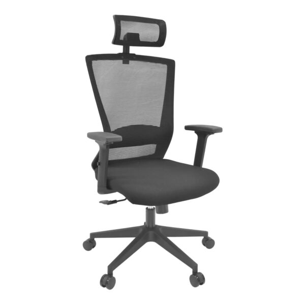 Tuscola Office Chair Black Discover comfort and style with the TUSCOLA Black Office Armchair. This chair features the Anyfix mechanism for easy adjustments, lumbar support, adjustable 2D armrests, and an adjustable headrest, making it perfect for any office. Ideal for long hours of work.