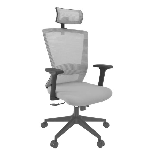 Fotoliul Birou TUSCOLA Grey Îmbunătățește-ți confortul la birou cu fotoliul TUSCOLA Grey. Cu mecanism Anyfix, brațe 2D, suport lombar și tetieră ajustabilă, acest scaun de birou este alegerea ideală pentru a lucra fără efort. Alege calitatea și ergonomia!