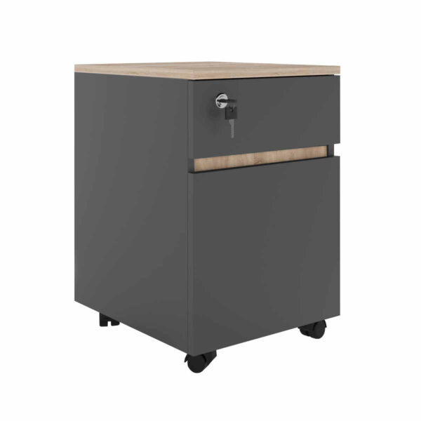Rollbox Rio Sonoma/Anthracite Chest of Drawers Discover the Rollbox Rio Sonoma/Anthracite Filing Cabinet, perfect for your office! Featuring a top drawer with slow closing and a lower cabinet, this furniture combines ergonomic style with functionality, making it ideal for storing office supplies. The furniture is equipped with lockable wheels for easy maneuverability.