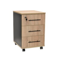 Rollbox Pino White Descoperă casetiera Rollbox Sonoma/Anthracite, perfectă pentru biroul tău! Cu 3 sertare, închidere pentru sertarul superior și roți dublate cu frână, este soluția ideală pentru organizare. Fabricată din PAL melaminat de calitate, aceasta îmbină stilul cu funcționalitatea.