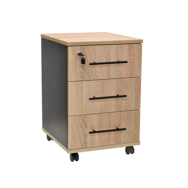 Rollbox Drawer Unit Sonoma/Anthracite Discover the Rollbox Sonoma/Anthracite filing cabinet, perfect for your office! With 3 drawers, a lock for the top drawer, and double wheels with brakes, it is the ideal solution for organization. Made from high-quality melamine particleboard, it combines style with functionality.