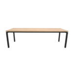 Rina Table 2500×750 - Image 2