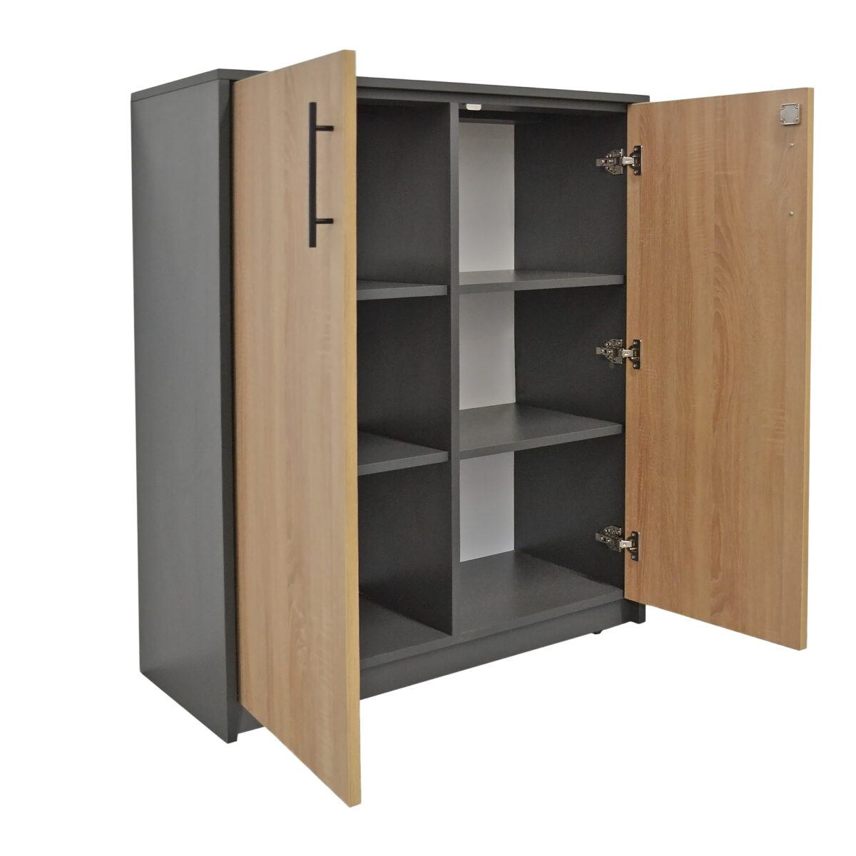 Office Cabinet with 2 Doors - Image 2