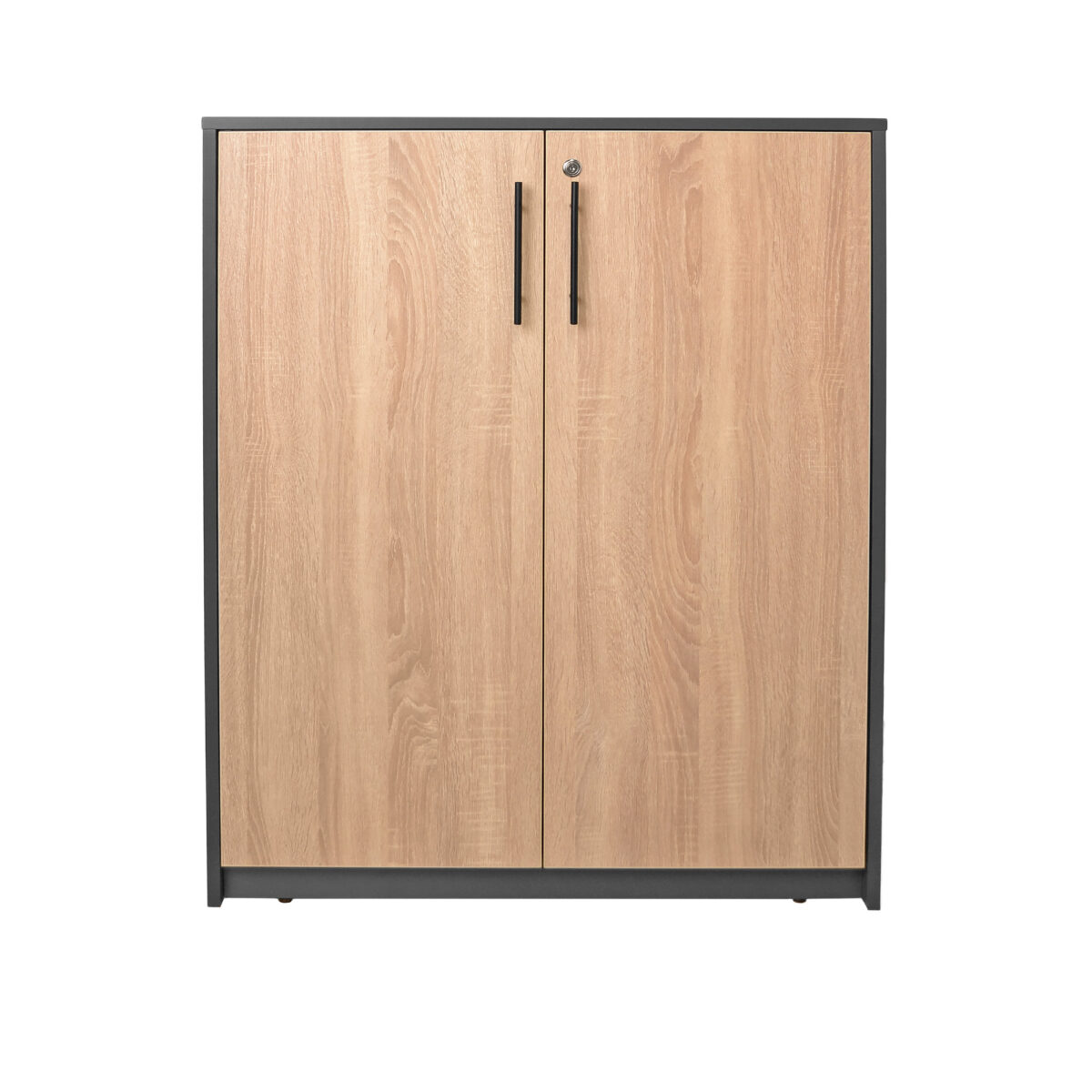 Office Cabinet with 2 Doors - Image 3