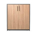 Office Cabinet with 2 Doors - Image 3
