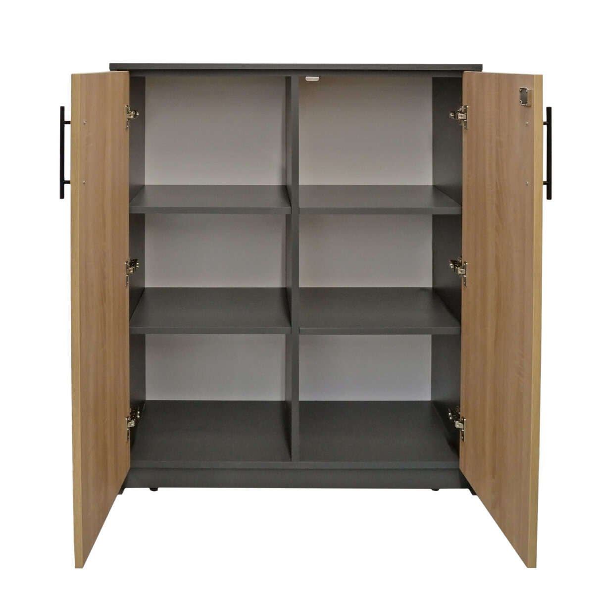Office Cabinet with 2 Doors - Image 4