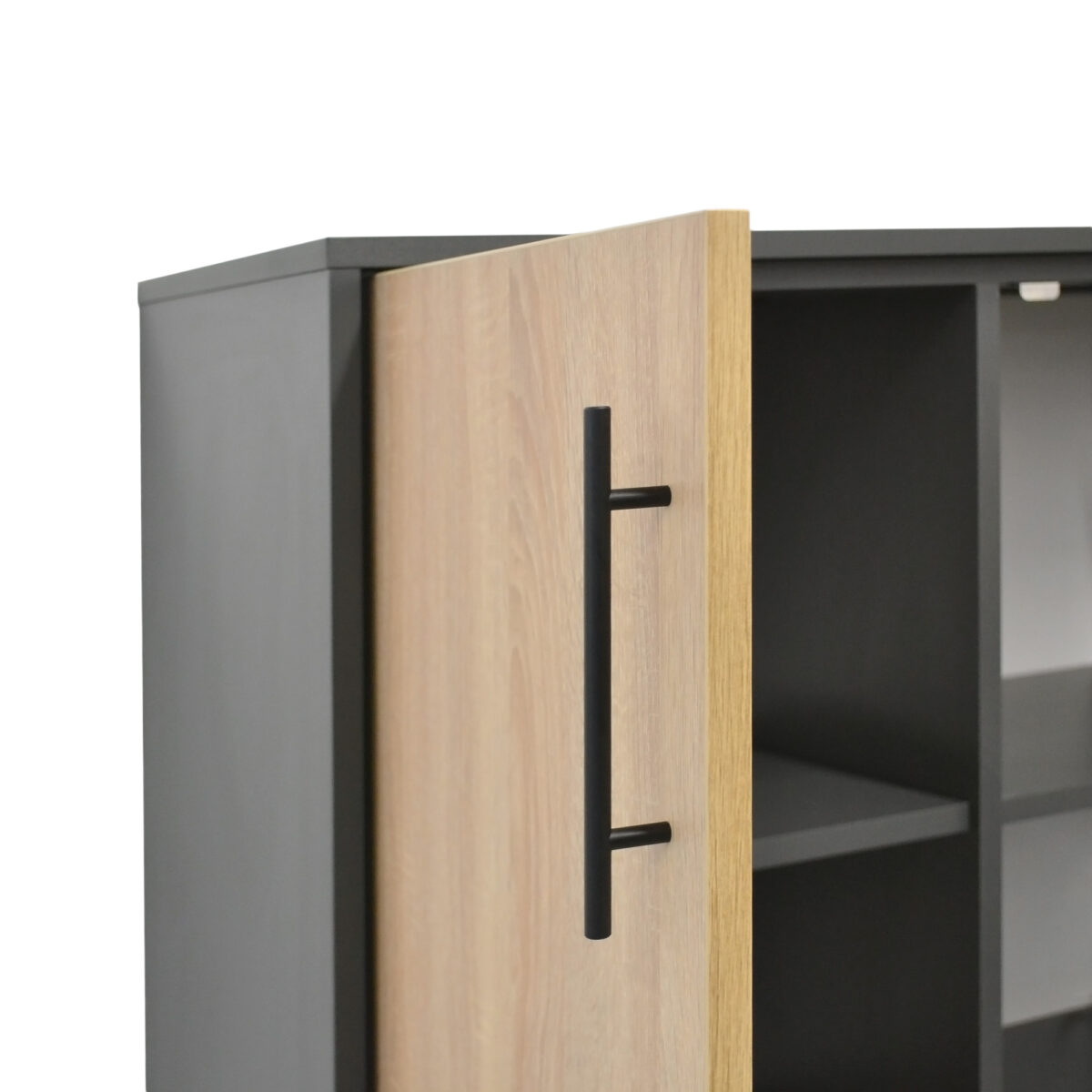 Office Cabinet with 2 Doors - Image 5