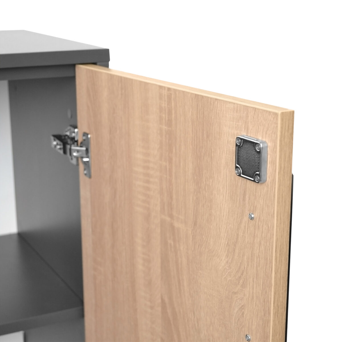 Office Cabinet with 2 Doors - Image 6