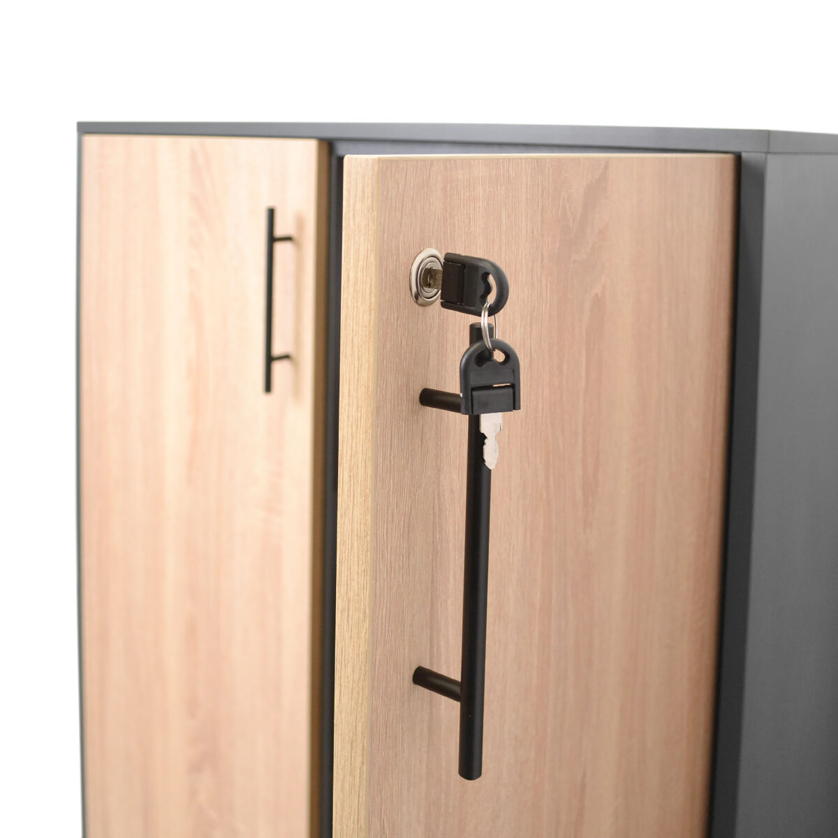 Office Cabinet with 2 Doors - Image 8