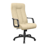 Atlantis Office Chair Plastic AMF Beige Discover the ATLANTIS office armchair in beige, comfortable and elegant. With a Tilt mechanism and quality materials, it provides ideal support for hours of work. Choose comfort and style for your office!