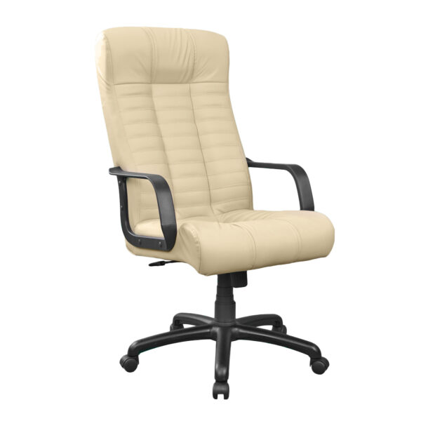 Atlantis Office Chair Plastic AMF Beige Discover the ATLANTIS office armchair in beige, comfortable and elegant. With a Tilt mechanism and quality materials, it provides ideal support for hours of work. Choose comfort and style for your office!