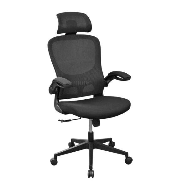 Fotoliu Biorou JASPER Black Descoperiți fotoliul de birou JASPER Black de la DECOPRIM! Confort ergonomic, tapițerie modernă și caracteristici inteligente, precum mecanismul Tilt și cotierele flip-up, pentru o experiență de lucru optimă. Ideal pentru birouri remote sau profesionale.