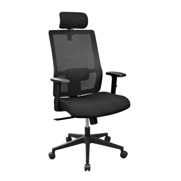 Duncan Black Office Armchair Discover the DUNCAN Black office chair, an ergonomic model with a modern design, perfect for long hours of work. Made from quality materials, it offers comfort and adjustable lumbar support. Ideal for the office, this chair combines style with functionality.