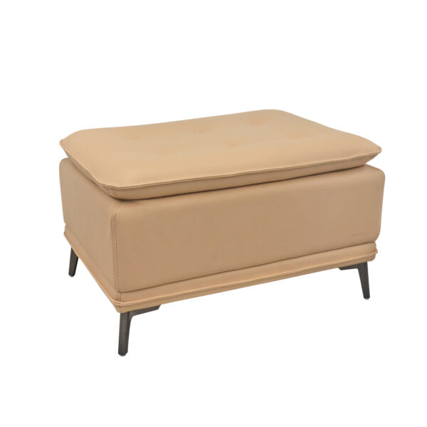 Antreu Bench EROS Beige Discover the EROS Beige Hall Bench, a perfect combination of modern design and exceptional comfort. With eco-leather upholstery and a sturdy metal frame, this elegant piece seamlessly integrates into your living room. Add a touch of sophistication and functionality to your space!
