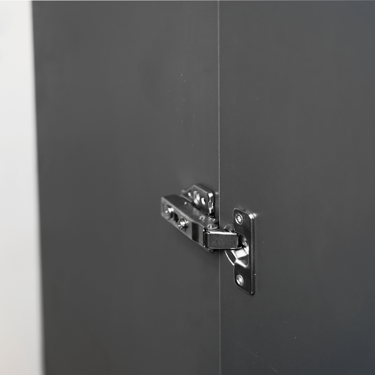 Cabinet with aluminum frames and LED lighting. - Image 6